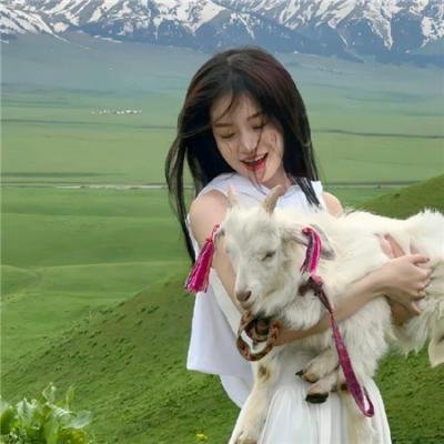 投桃未报反成仇