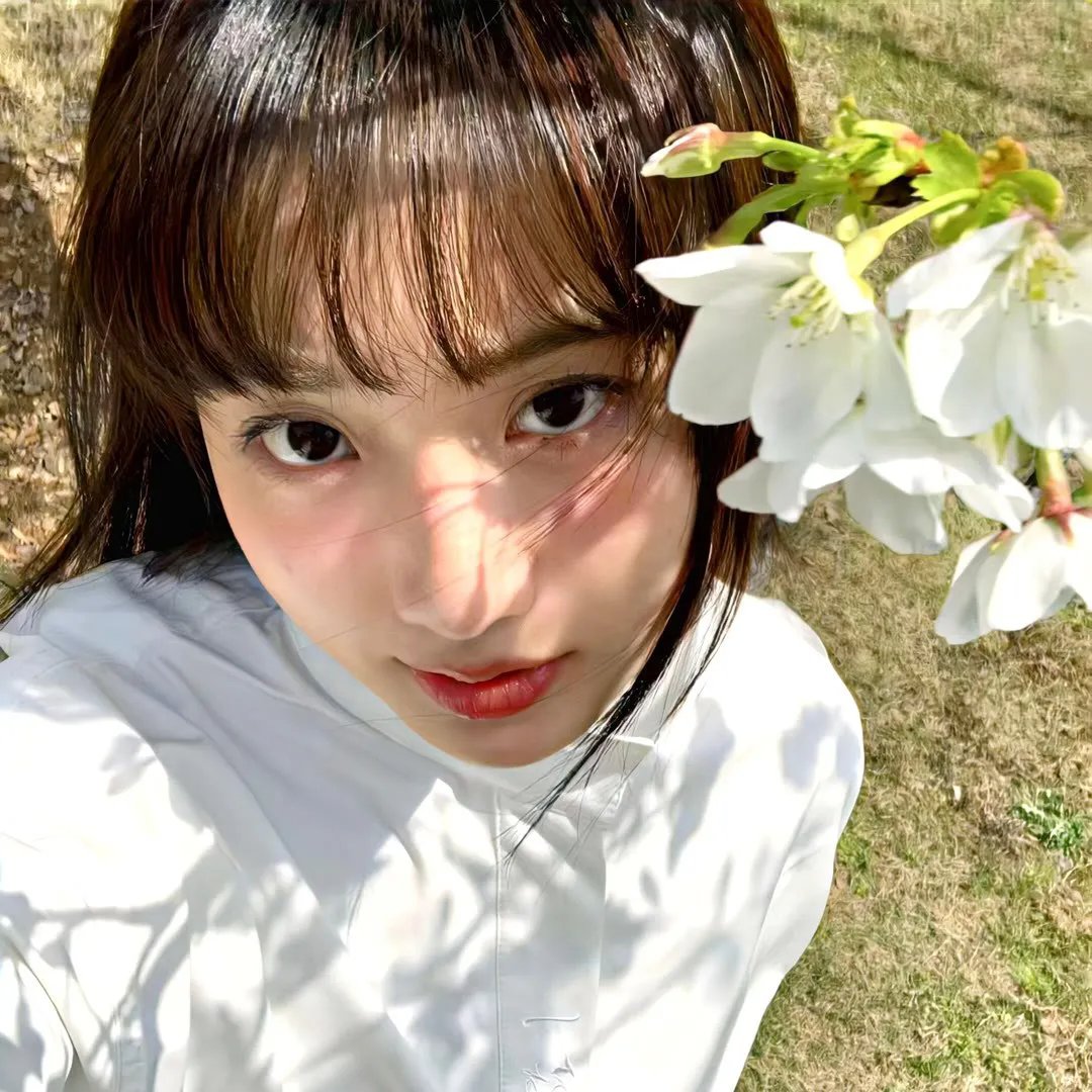 蜡笔小新 呐喊！春日部野生王国